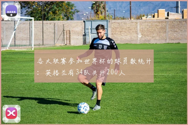 各大联赛参加世界杯的球员数统计：英格兰有34队共计200人
